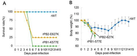 Viruses Free Full Text A PB1 K577E Mutation In H9N2 Influenza Virus