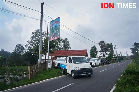 Elektrifikasi Pln Untuk Pertanian Strawberry Lereng Merbabu