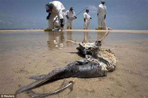 Bp Executive Tells Judge At Multi Billion Dollar Gulf Spill Damages