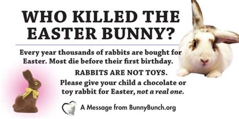 Bipolar Bunny Spotlight Psa