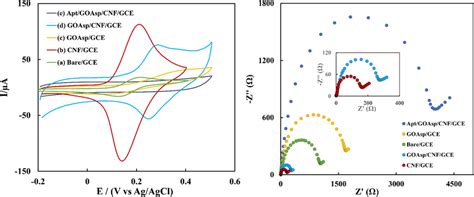 Cyclic Voltammetry Cv And Nyquist Eis Plots Obtained At The Bare Gce Download Scientific