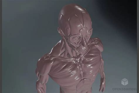 Human Anatomy Body Concept Free 3d Model C4d Dae Fbx Obj Skp