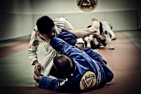 Copa De Jiu Jitsu De Marab Ter Atletas De Parauapebas Portal