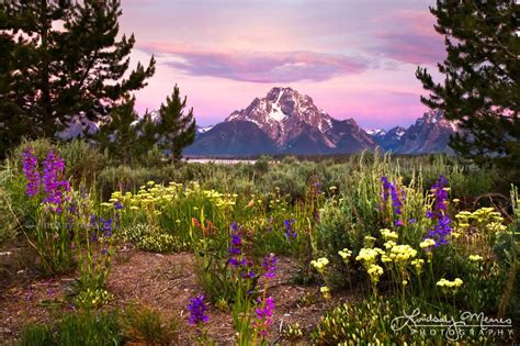 Grand Teton Sunrise – Grand Teton National Park Photography – TravLin ...