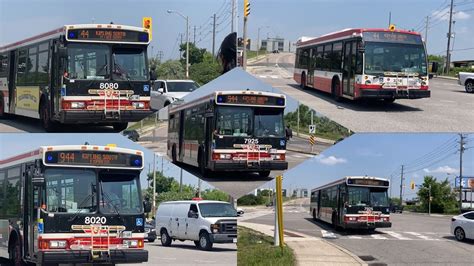 🚌🚎are You Ready Ttc Buses And Miway 🚎🚌613 302023 Youtube