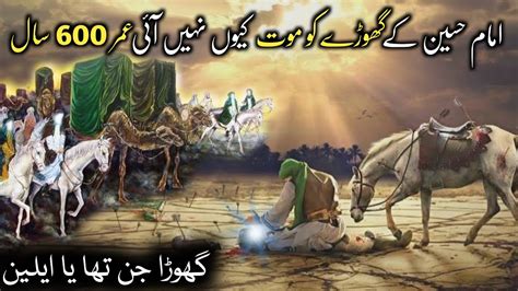 Hazrat Imam Hussain As Ke Ghore Ka Waqia Zuljanah Waqia Karbala Ka