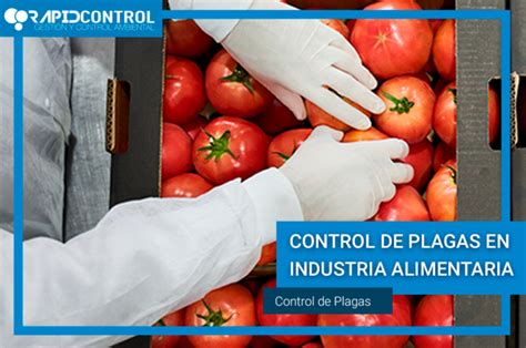 Control De Plagas Industria Alimentaria Rapidcontrol Plagas