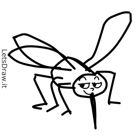 How To Draw Mosquito Ajmwphd9k Png LetsDrawIt