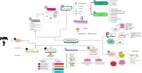 Mapa Conceptual Mapa Muestras Biol Gicas Qu Son Al Cuota