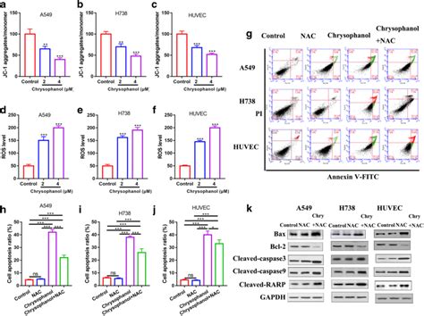 Chrysophanol Induces Cell Apoptosis By Ros Accumulation In Vitro A