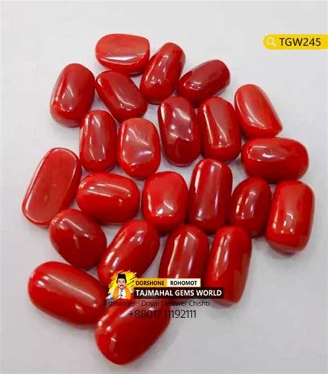 Red Coral Best Price In Bangladesh Lal Moonga Price In Bd