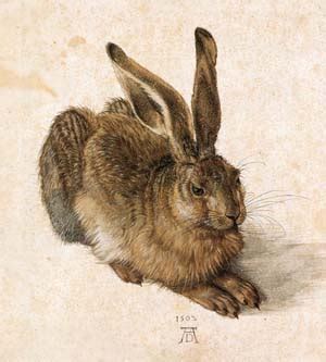 Albrecht Dürer nyula hopp Cultura hu