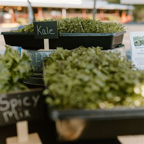 Montgomery Farmers Market All You Need To Know Before You Go