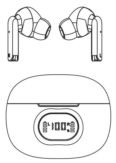 Aiwa Ai1008 Prodigy View True Wireless Earphones User Guide