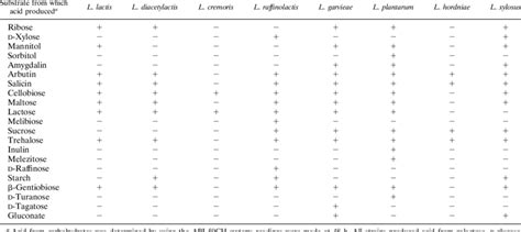 Fermentation patterns of Lactococcus species, subspecies, and biovars ...