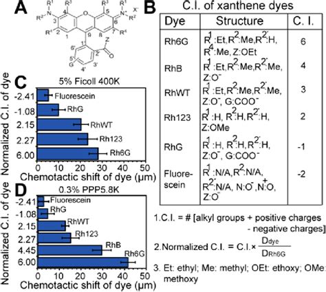 Chemotactic Shift Of Different Xanthene Dyes Is Correlated To