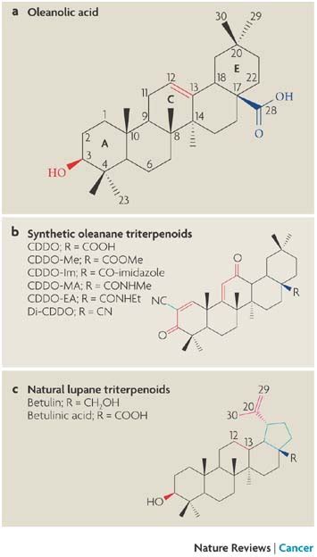 Structures of triterpenoids.a | Structure of the oleanane, oleanolic ...