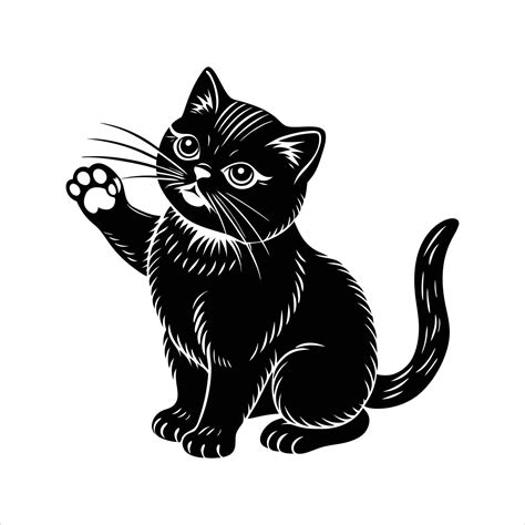 Cat Exotic Shorthair royalty 55784623 Vector Art at Vecteezy