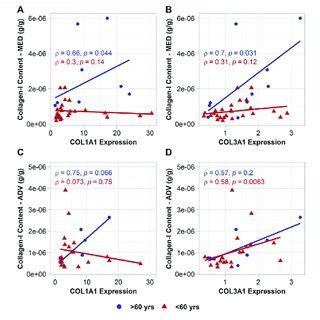 Age Group Specific Relationships Between VSMC Collagen Gene