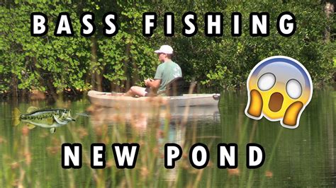 Bass Fishing A New Pond Kayak And Bank Fishing For Bass Bass Manager