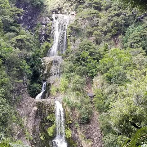 visit hamiltons gap bookmes travel guide  hamiltons gap  zealand
