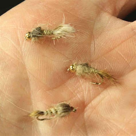 Complete Guide To Fly Fishing With The Hares Ear Nymph Guide Recommended