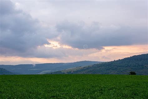 Misty And Cloudy Sunrise Above Green Fields And Forests Obraz Stock