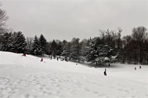 How Much Snow Did Eldersburg Get? | Eldersburg, MD Patch