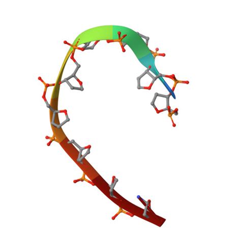 Rcsb Pdb 2xhb Crystal Structure Of Dna Polymerase From Thermococcus Gorgonarius In Complex