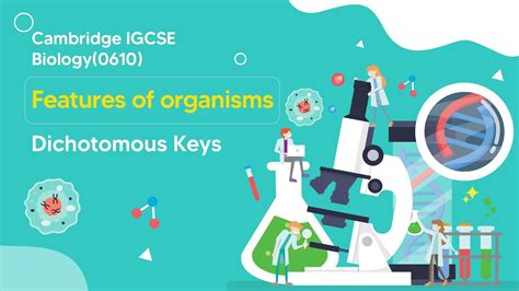 Mastering Dichotomous Keys In Igcse Biology 🌿🔬 Everything You Need To Know Youtube