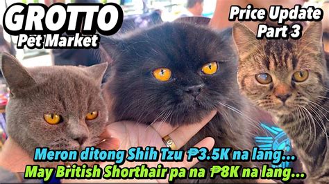 Grotto Pet Market Part 3 February 26 2023 San Jose Del Monte