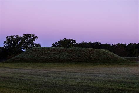 Moundville Archaeological Park Community Pavilion - Rural Studio