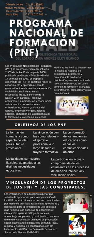 Infografia Pnf PDF