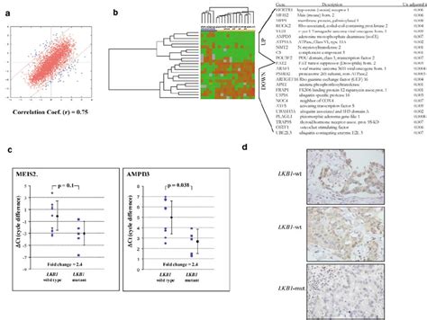 Classification Of The Gene Expression Profiles Of Primary Lads