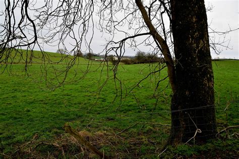 Tree And Countryside Kiltamnagh Kenneth Allen Cc By Sa