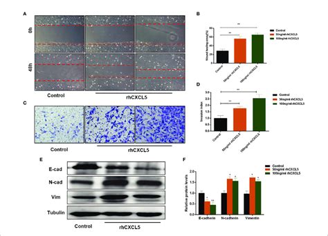 CXCL5 Induces The EMT Process To Promote Trophoblast Migration And