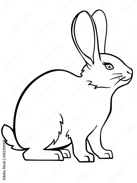 Bunny. Rabbit. Linear drawing of a bunny. Template for coloring Stock ...