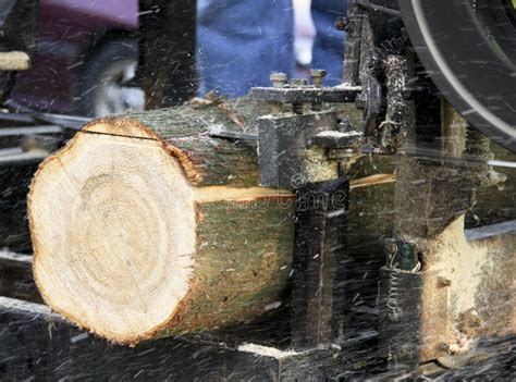 Bandsaw Sawmill Cutting A Pine Log Stock Image Image Of Bark Tree