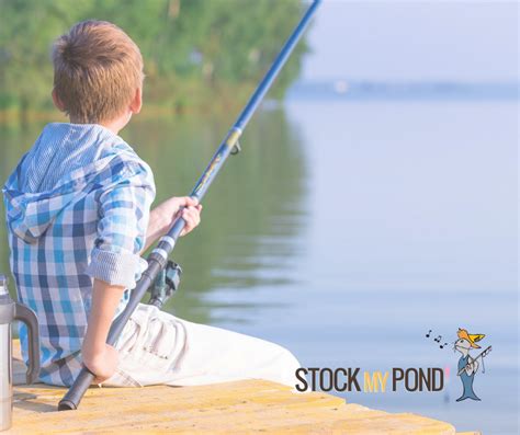 Stock my Pond boy Fishing - Stock My Pond