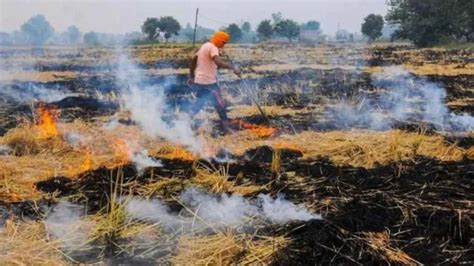 पराली जलाने की घटनाओं को रोकने का एक्शन प्लान तैयार क्या वाकई कम होगा