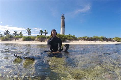 Snorkeling in the Dry Tortugas [Video] | Blue Turtle Cruising