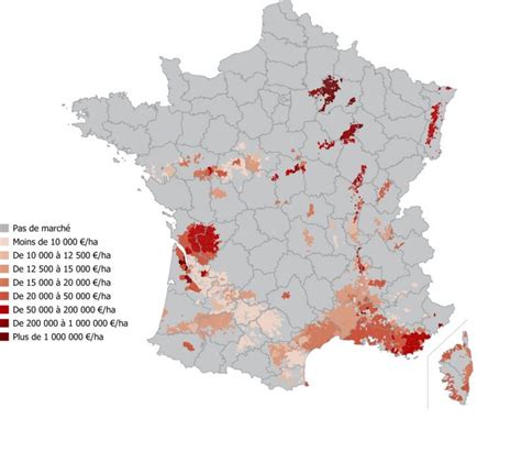 La Francia del vino è in crisi Linkiesta it