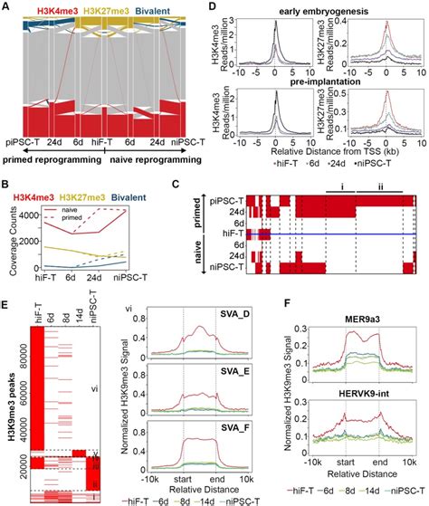 Unique Molecular Events During Reprogramming Of Human Somatic Cells To