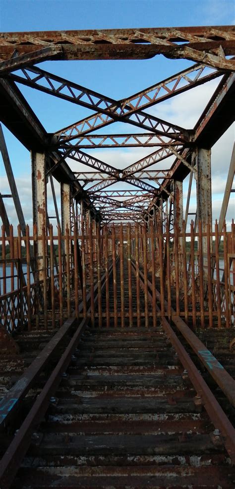 Abandoned railway bridge : r/abandoned