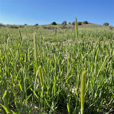 Digital archives will soon preserve every Cottage Country cremation obituaries 19