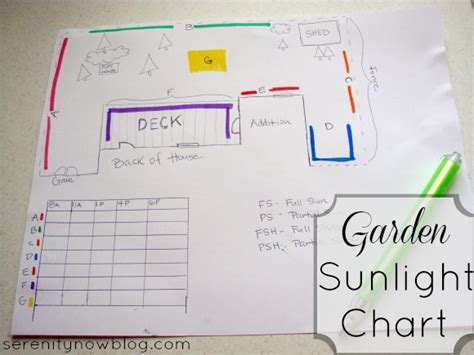 Serenity Now: DIY Garden Sunlight Chart (How to Plan for Your Garden)