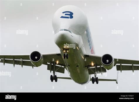 Airbus Beluga aircraft landing Stock Photo - Alamy