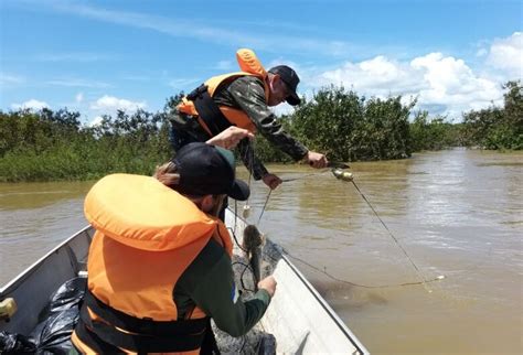 Naturatins Apreende Mais De 2 5 Mil Metros De Rede De Pesca No Rio