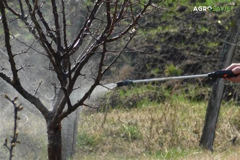 Jesenje prskanje voćnjaka Mjere za očuvanje zdravlja voća Agrosavjet