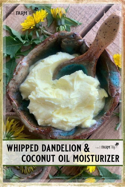 Whipped Dandelion And Coconut Oil Moisturizers Coconut Oil Moisturizer